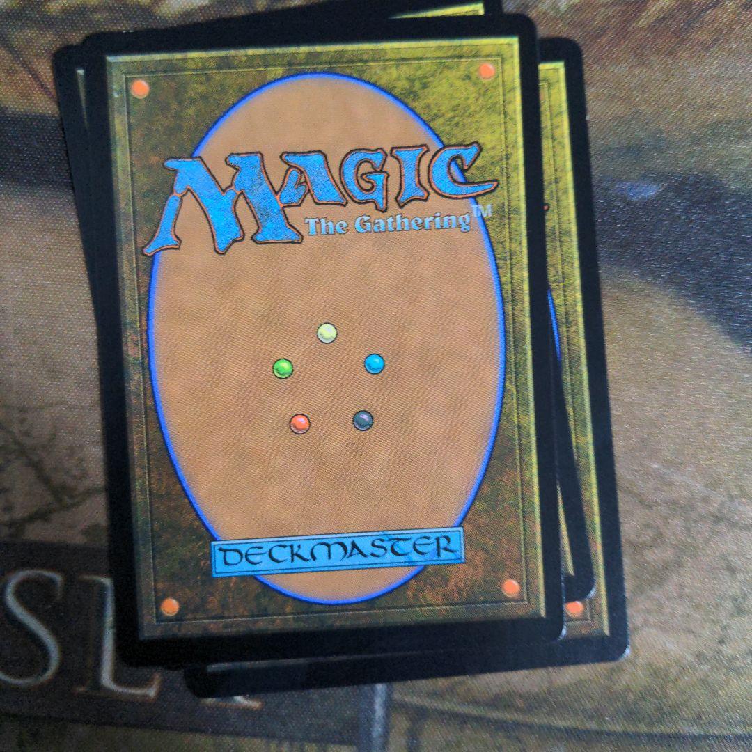 MTG　新緑の地下墓地/Verdant Catacombs　Foil　4枚