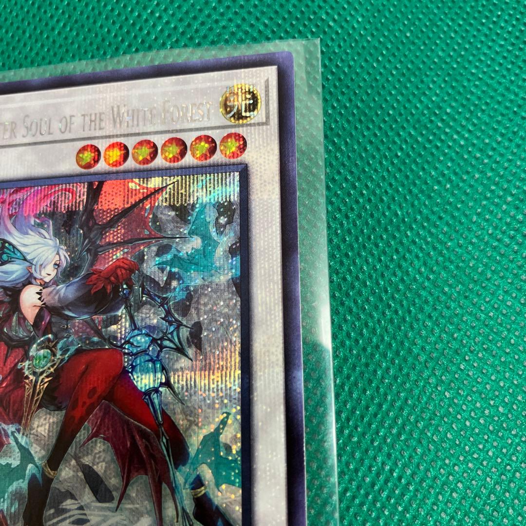 白き森の魔性ルシエラ　シク　泰亜版