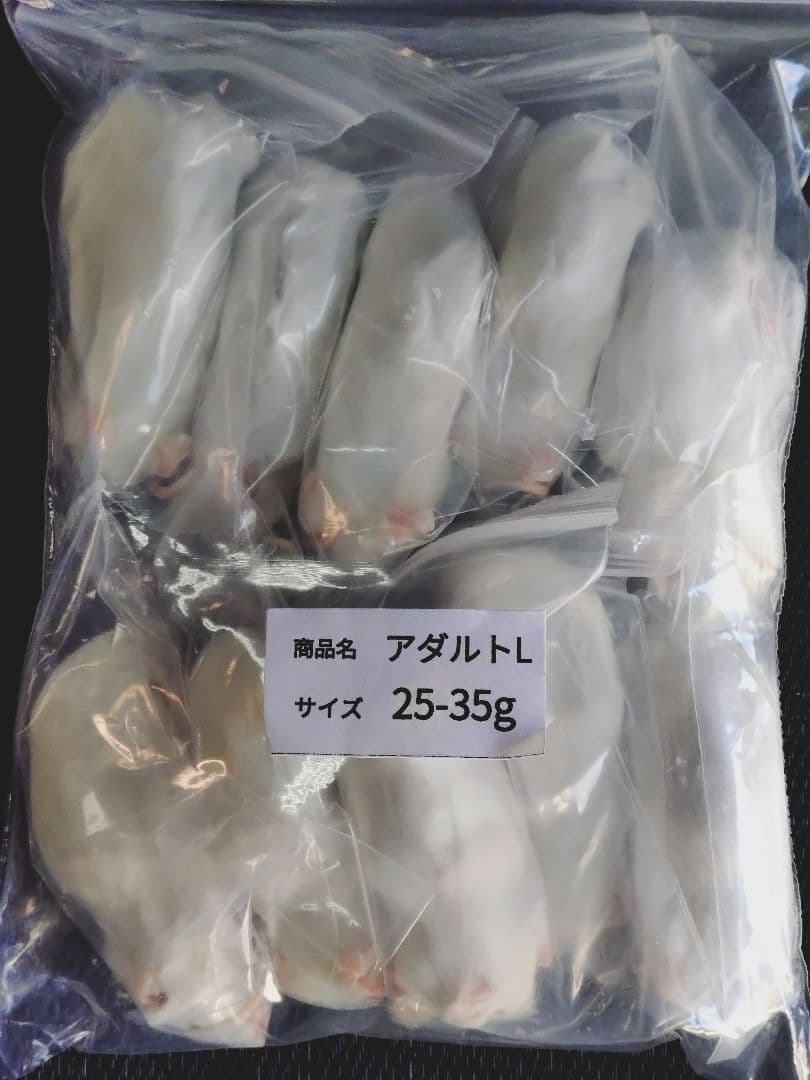 送料無料 冷凍マウスアダルトＬ50匹　アダルトM30匹