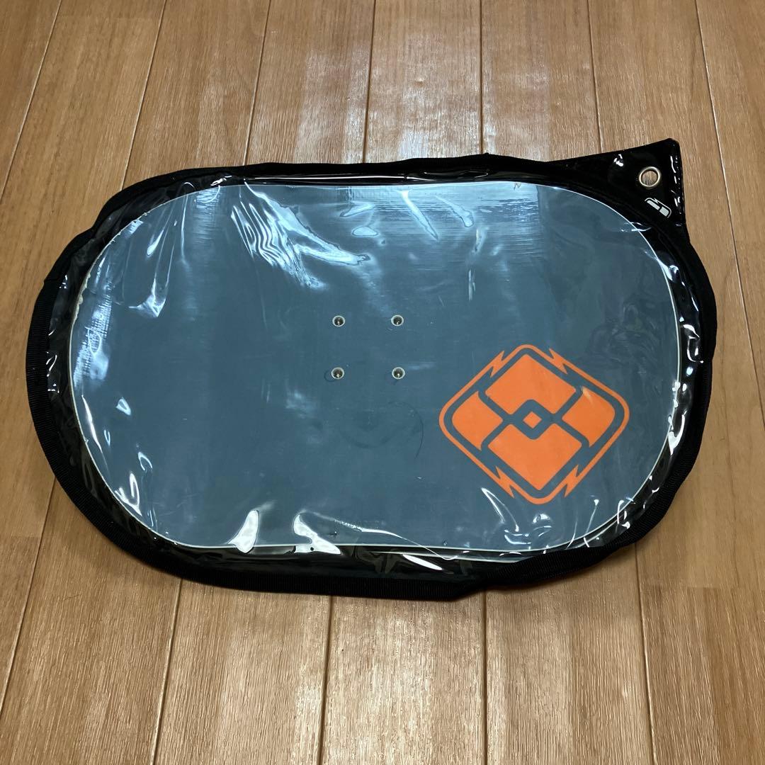 デュアルスノーボード