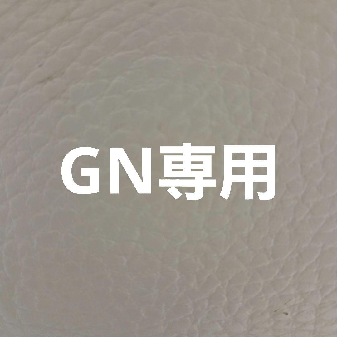 遊戯王OCG デュエルモンスターズ GN