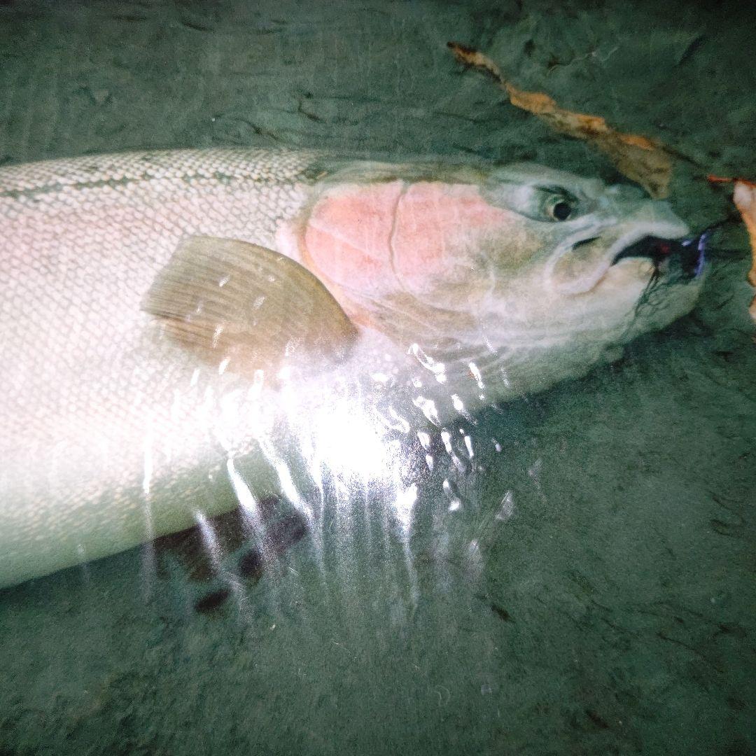 ハーディー✨ソブリントラベルフライロッド4ピース