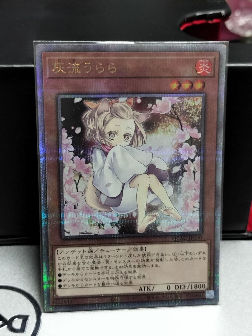 遊戯王 灰流うらら 25th 絵違い