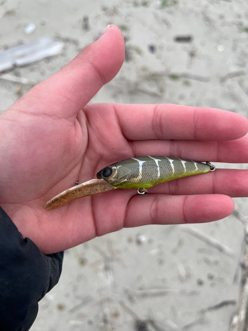 ハードルアー グリーンブラウン