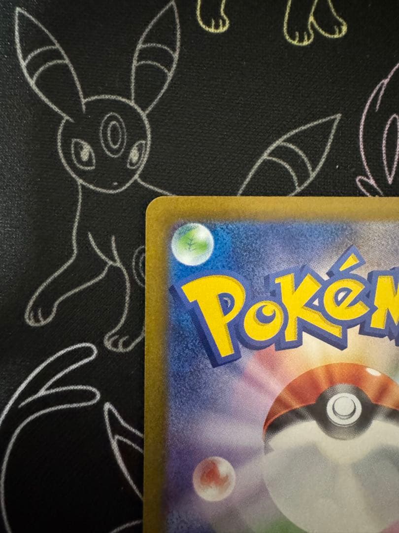 センタリング良好　ブラッキーex SAR テラスタルフェスex 217/187