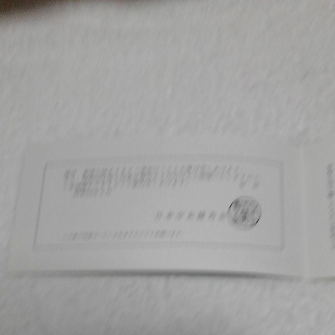 日本ダ―ビー　入場券