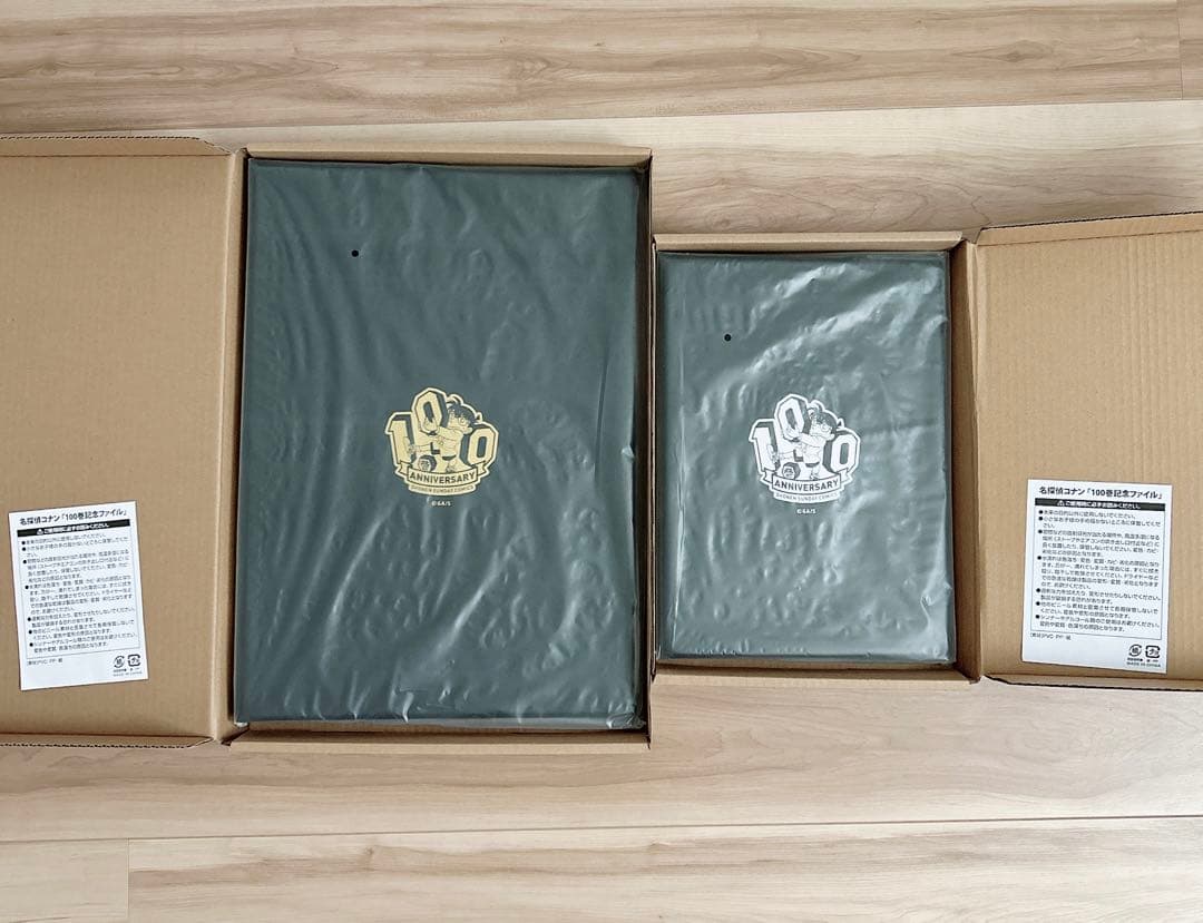 名探偵コナン 100巻記念ファイル A3