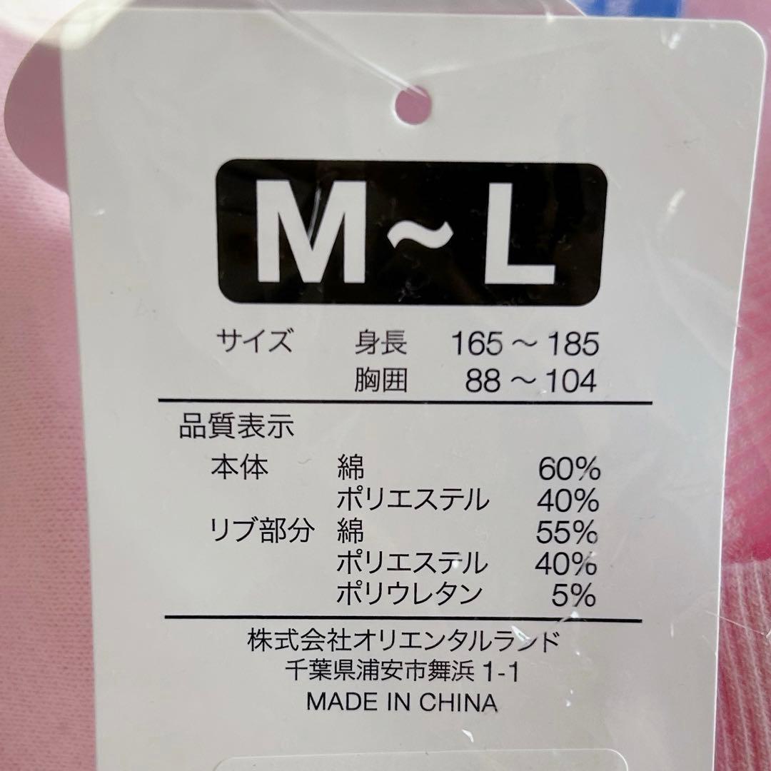 ミニーのファンダーランド　トレーナー　ミニパル　パルパルーザ　ディズニーランド