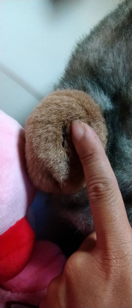 アニマルアレイ ぬいぐるみ ブタ