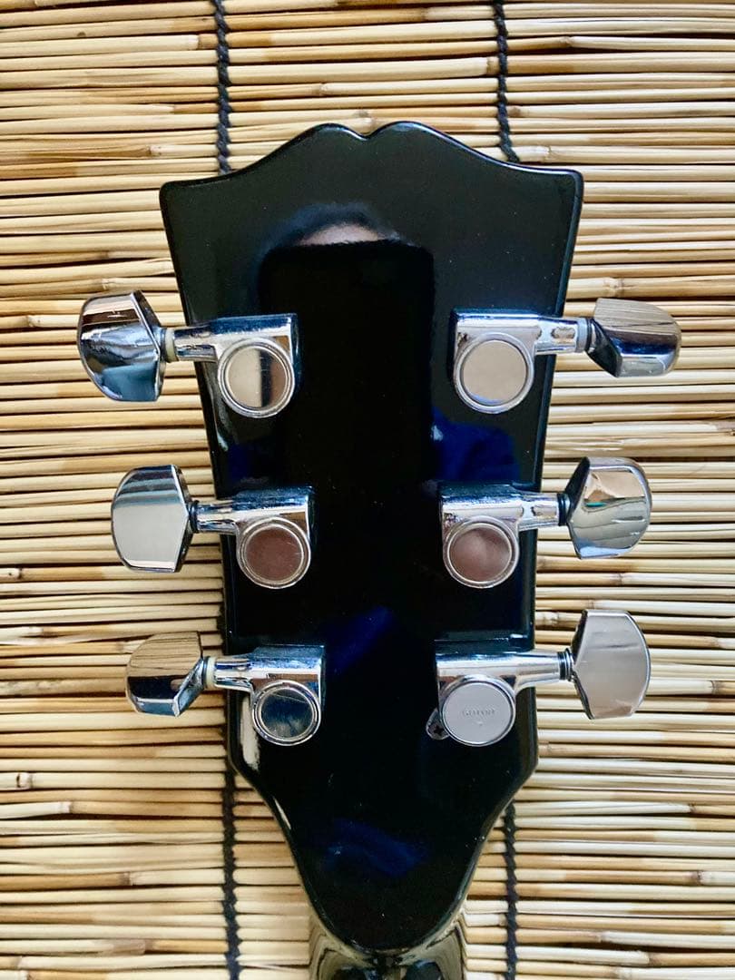 ☆ねこ☆ GrassRoots G-I-48LP 唯一無二の改造ギター