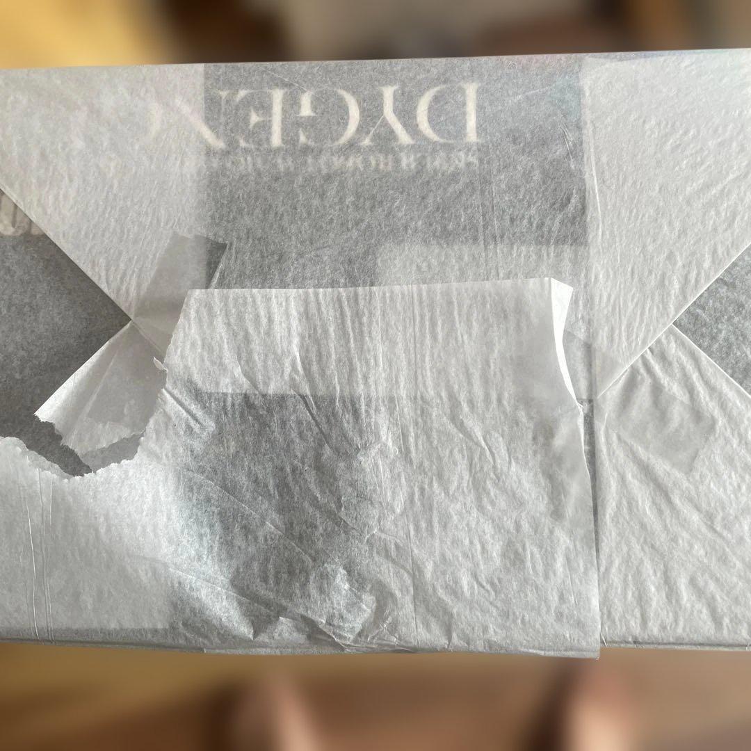 RIOBOT ダイゼンガー（センチネルストア特典付）