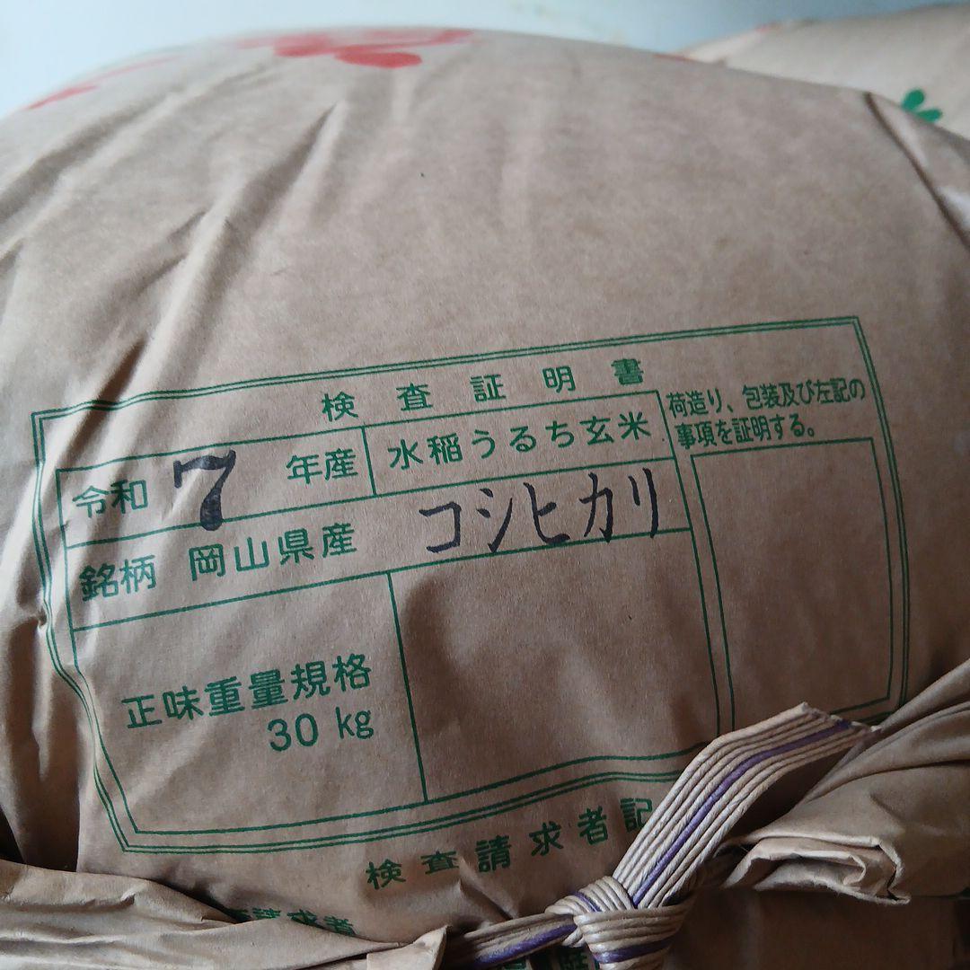 令和7年岡山県真庭コシヒカリ 30kg 玄米紙袋低農薬　農家直送