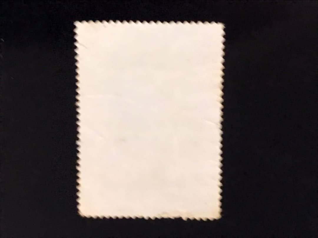 切手　分革　中国