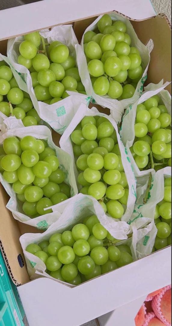 山口県クール便‼️シャインマスカット　葡萄　ぶとう　ブトウ　箱込み5kg