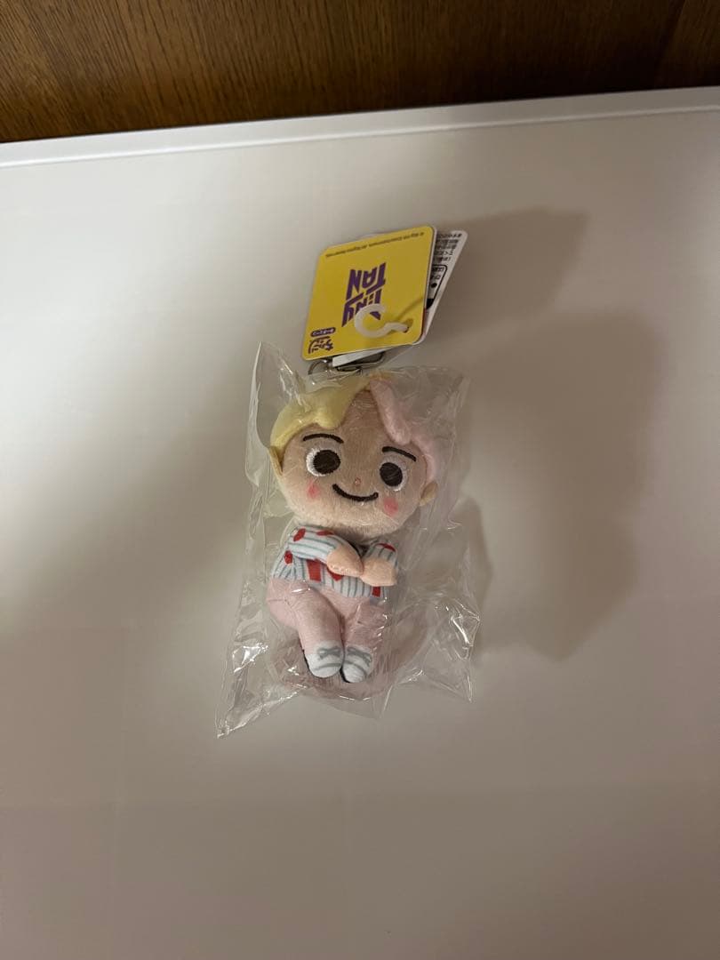 Tinytan V テヒョン JUNGKOOK ジョングク ぬいぐるみ BTS