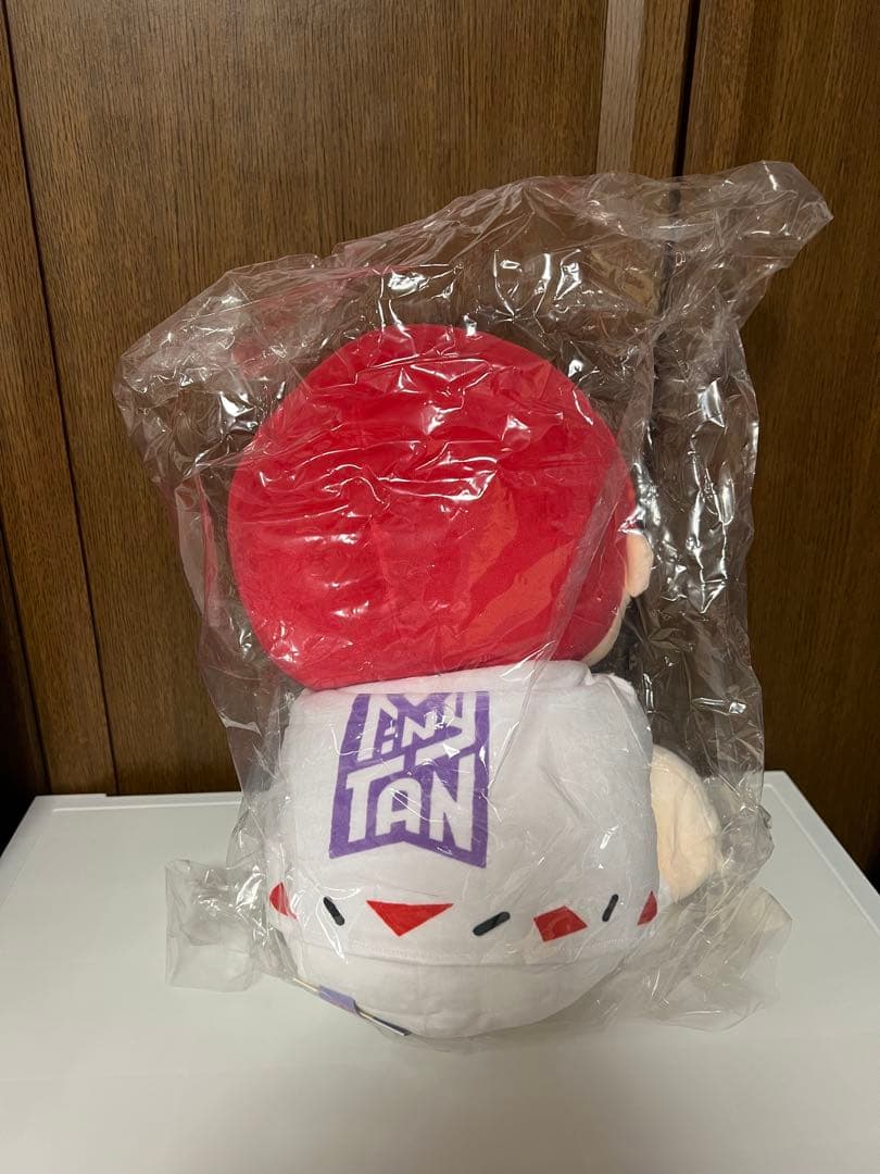 Tinytan V テヒョン JUNGKOOK ジョングク ぬいぐるみ BTS