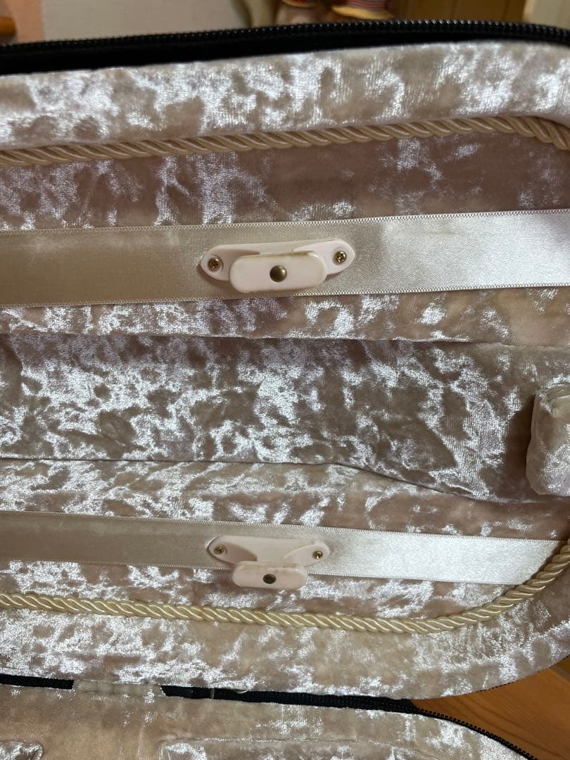 LANG バイオリンケース