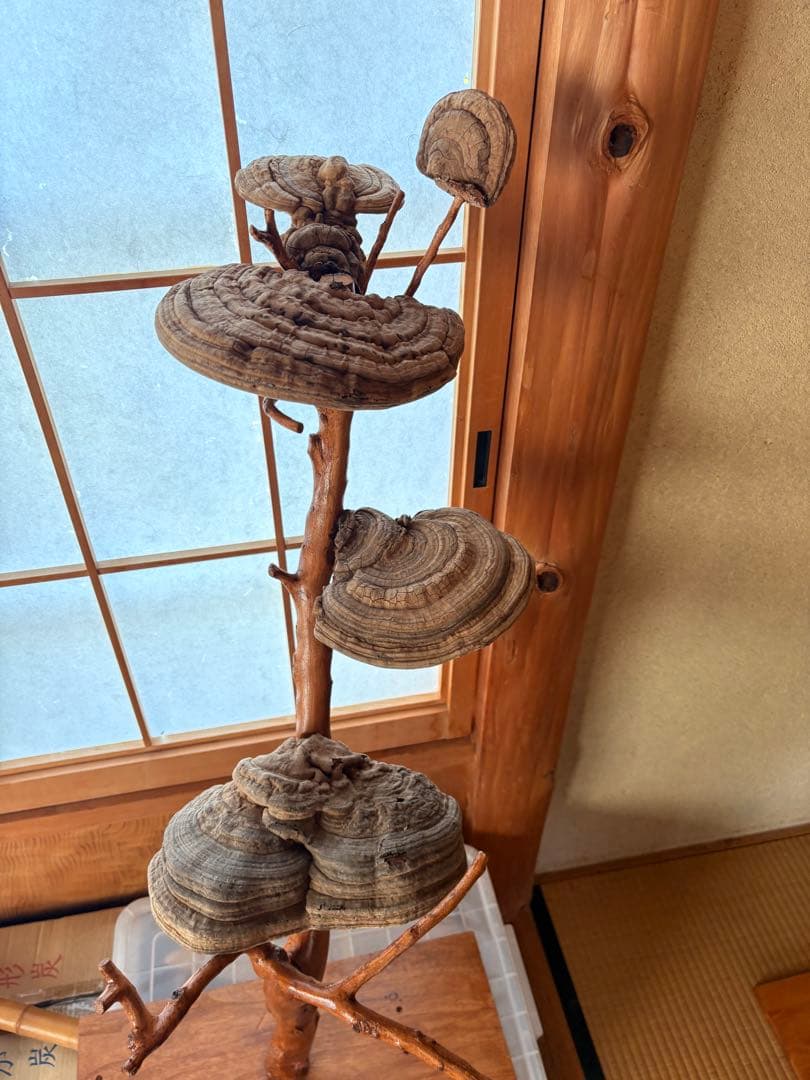 木製と貝殻の置物