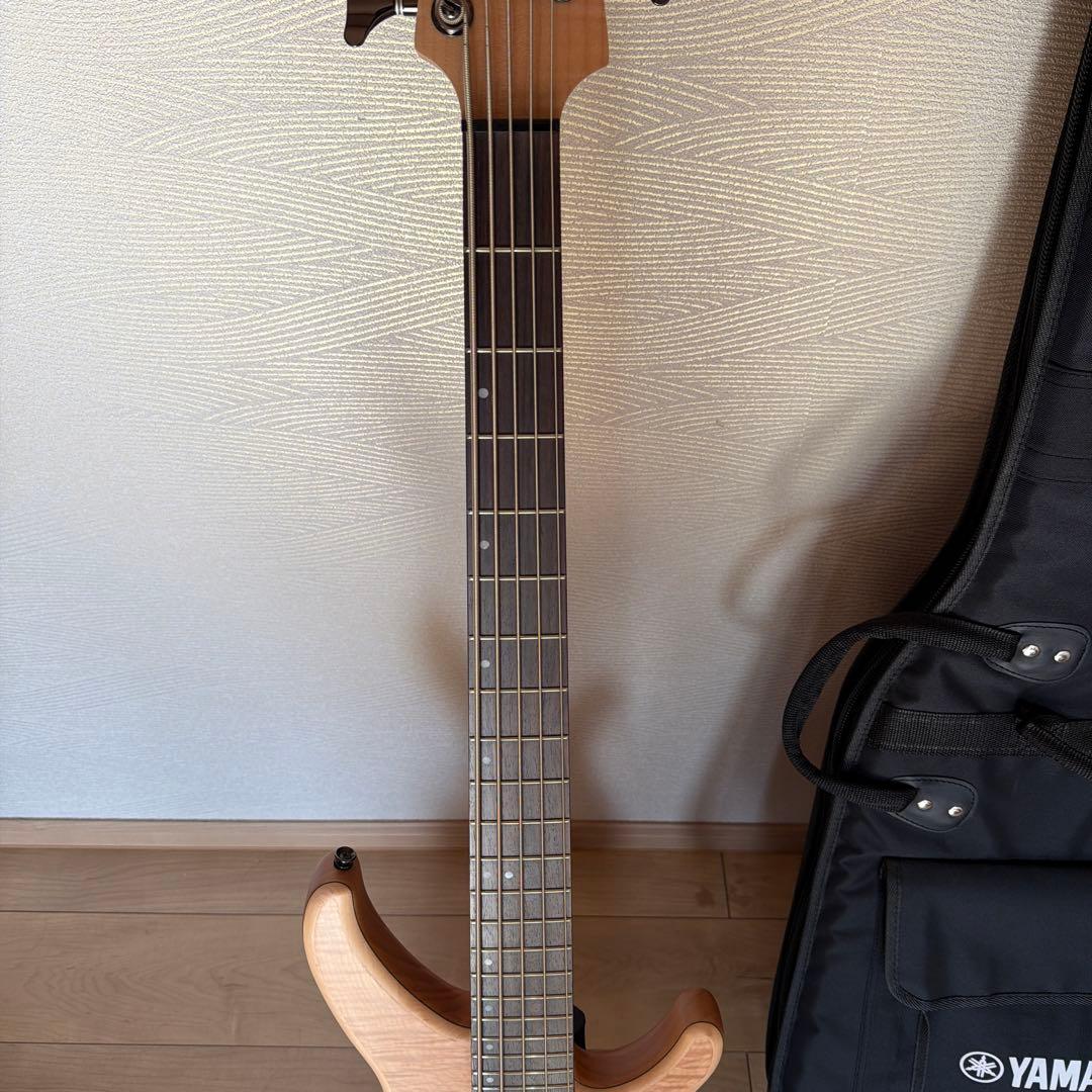【美品】YAMAHA TRBX605FM NS 5弦エレキベース