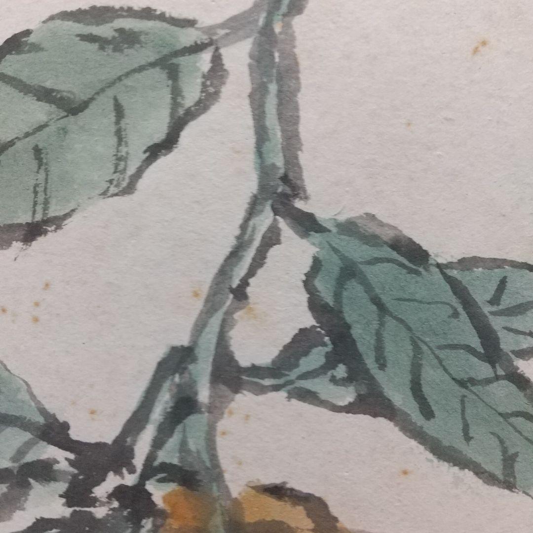 小説家画家 武者小路実篤 肉筆色紙 柚子？