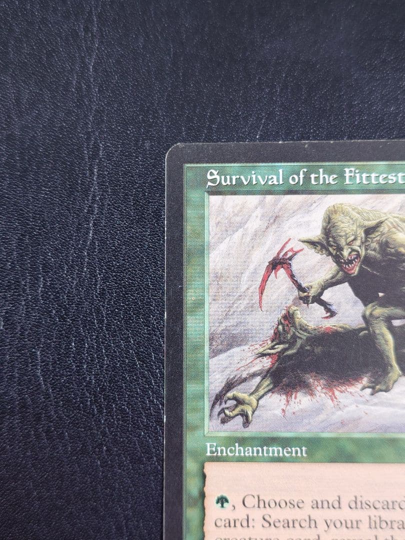 適者生存 エンチャント マジック・ザ・ギャザリング 英語 MTG