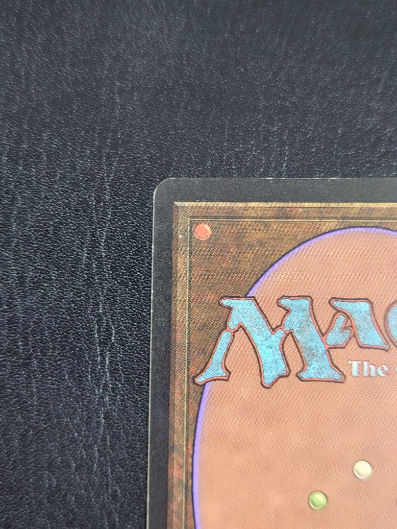 適者生存 エンチャント マジック・ザ・ギャザリング 英語 MTG