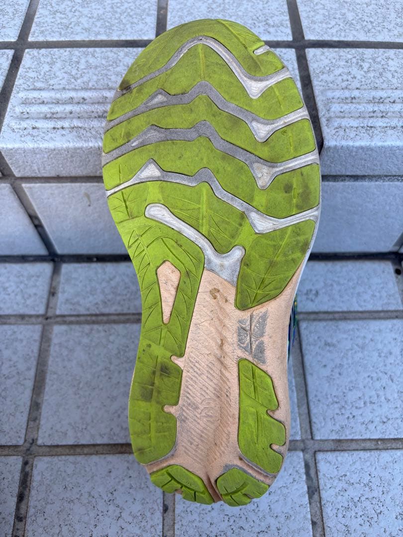 希少！！ASICS GT-2000 11 LITE-SHOW