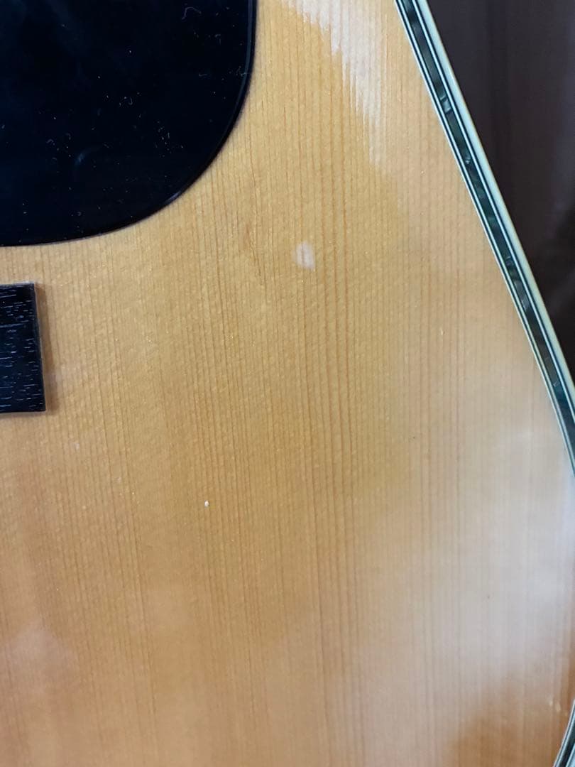 ProMartin w-200 縦ロゴ　アコースティックギター