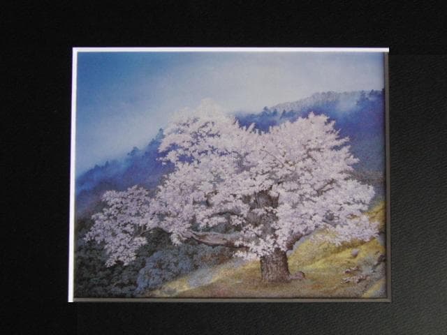 田中芳照、仙桜雨景、希少な画集より、新品高級額、額装付、状態良好