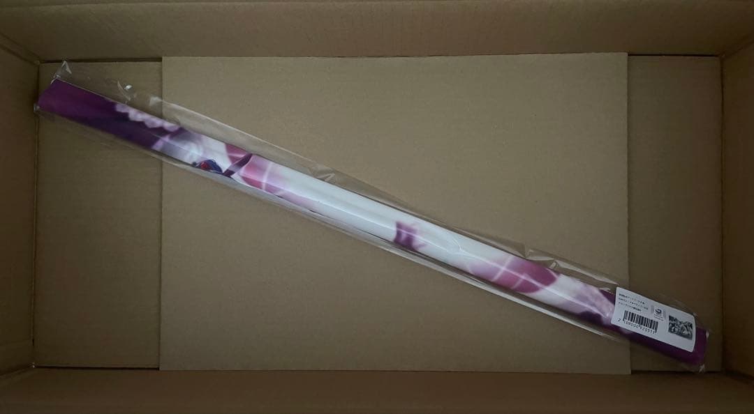 【有償特典】武田弘光 アートワークス 珠 B2タペストリー メロンブックス限定