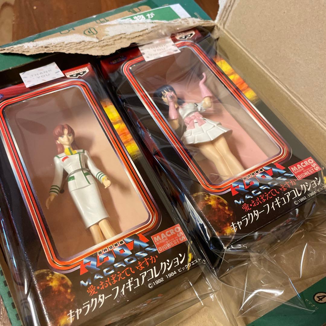 ロビン^._.^ 専用