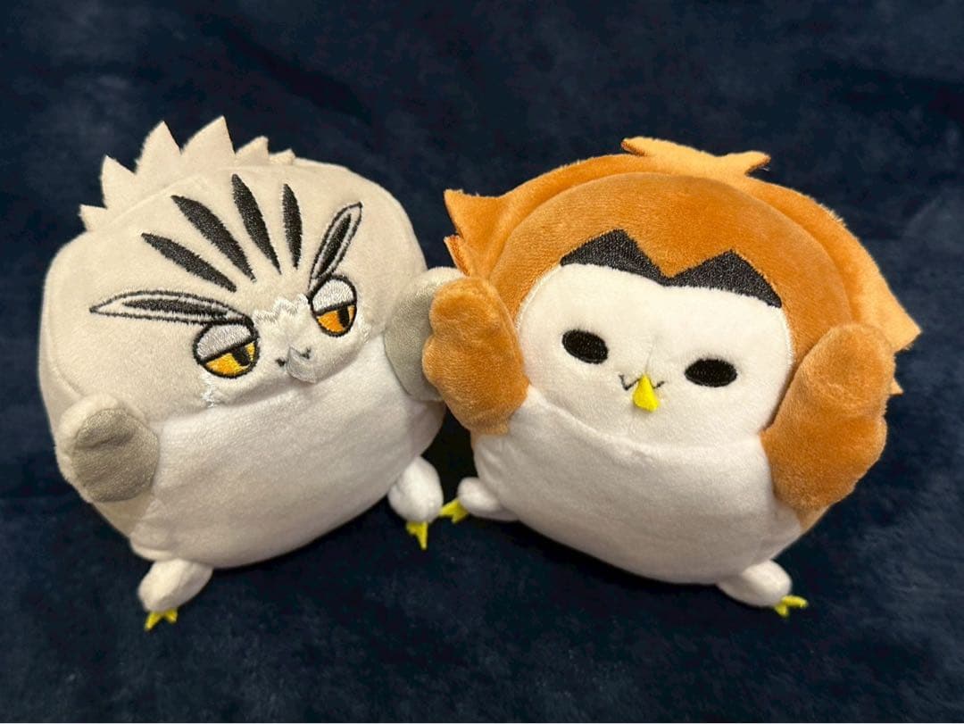 ハイキュー　だるぬい　木兎光太郎　赤葦京治　梟谷