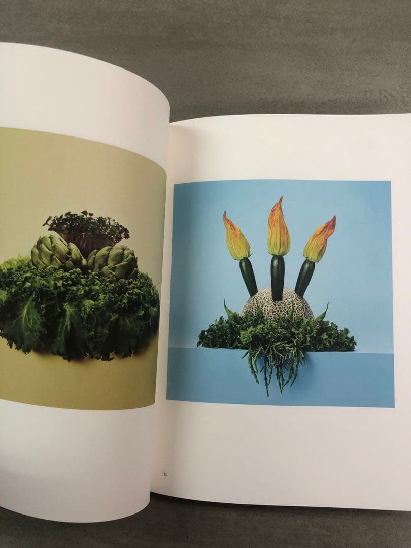 Kazunari Ogawa FRESH  作品集