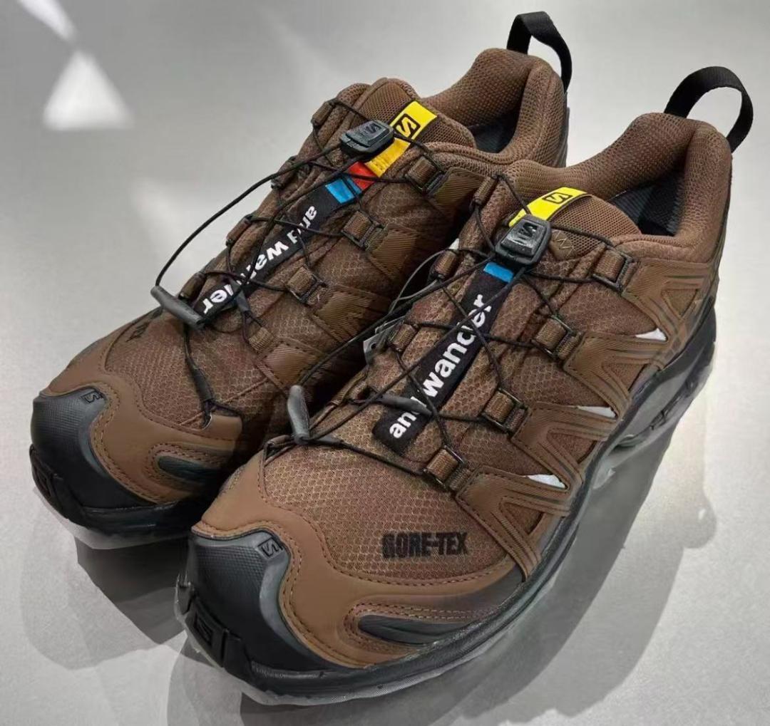 アイドル SALOMON and wander XA PRO 3D GTX