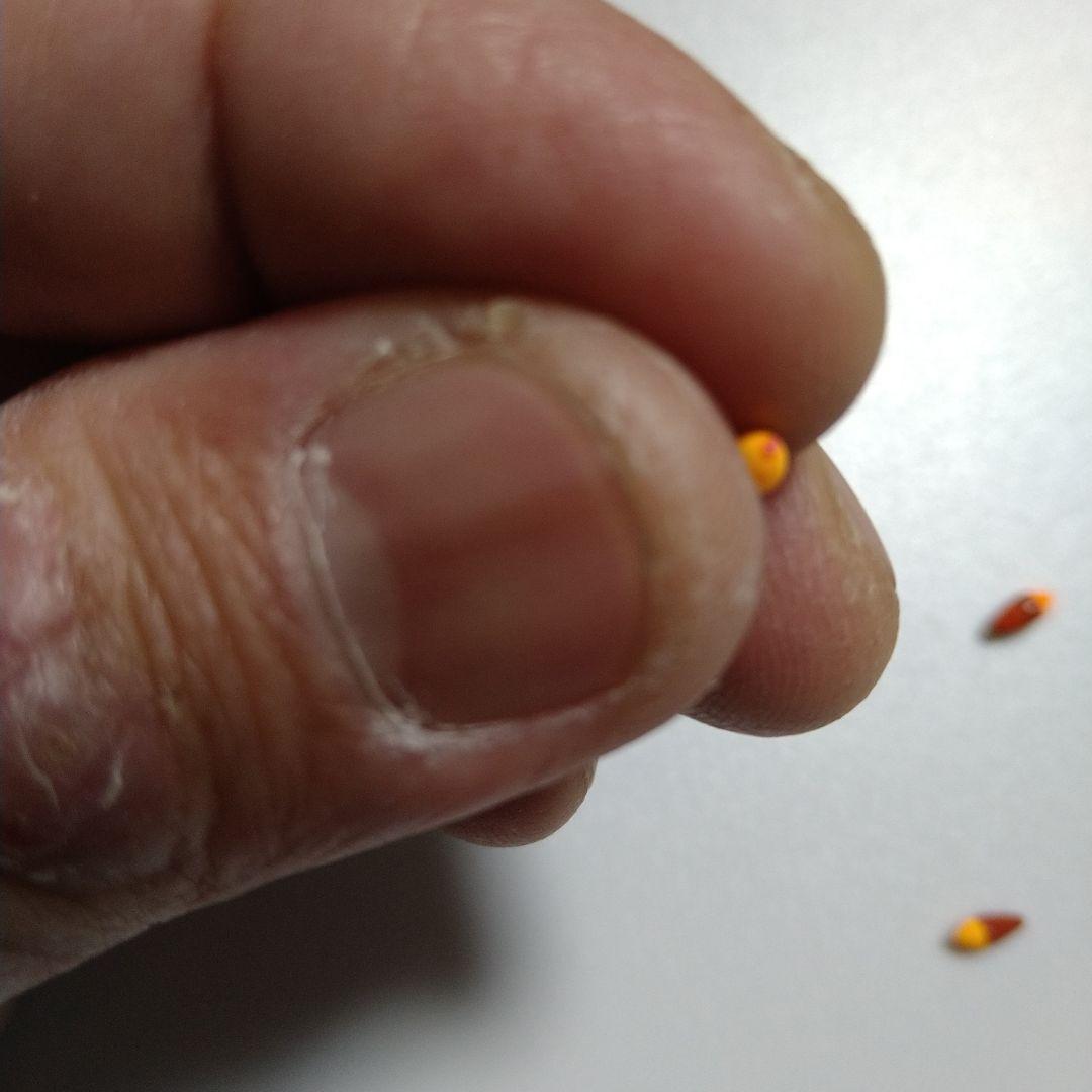 自作　タナゴ浮き　極少