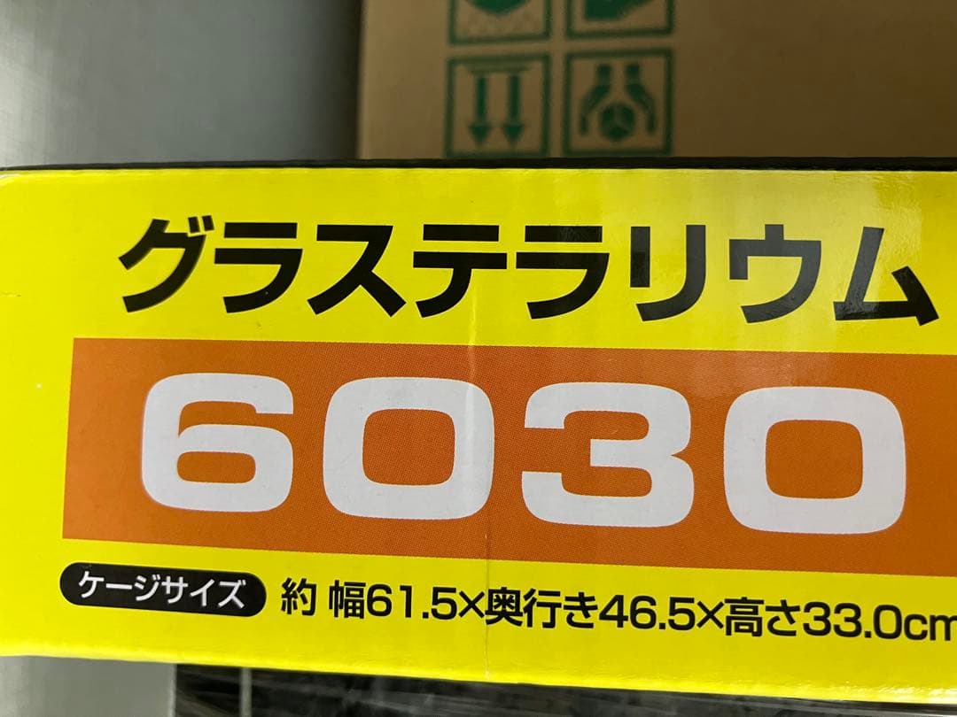 グラステリウム6030