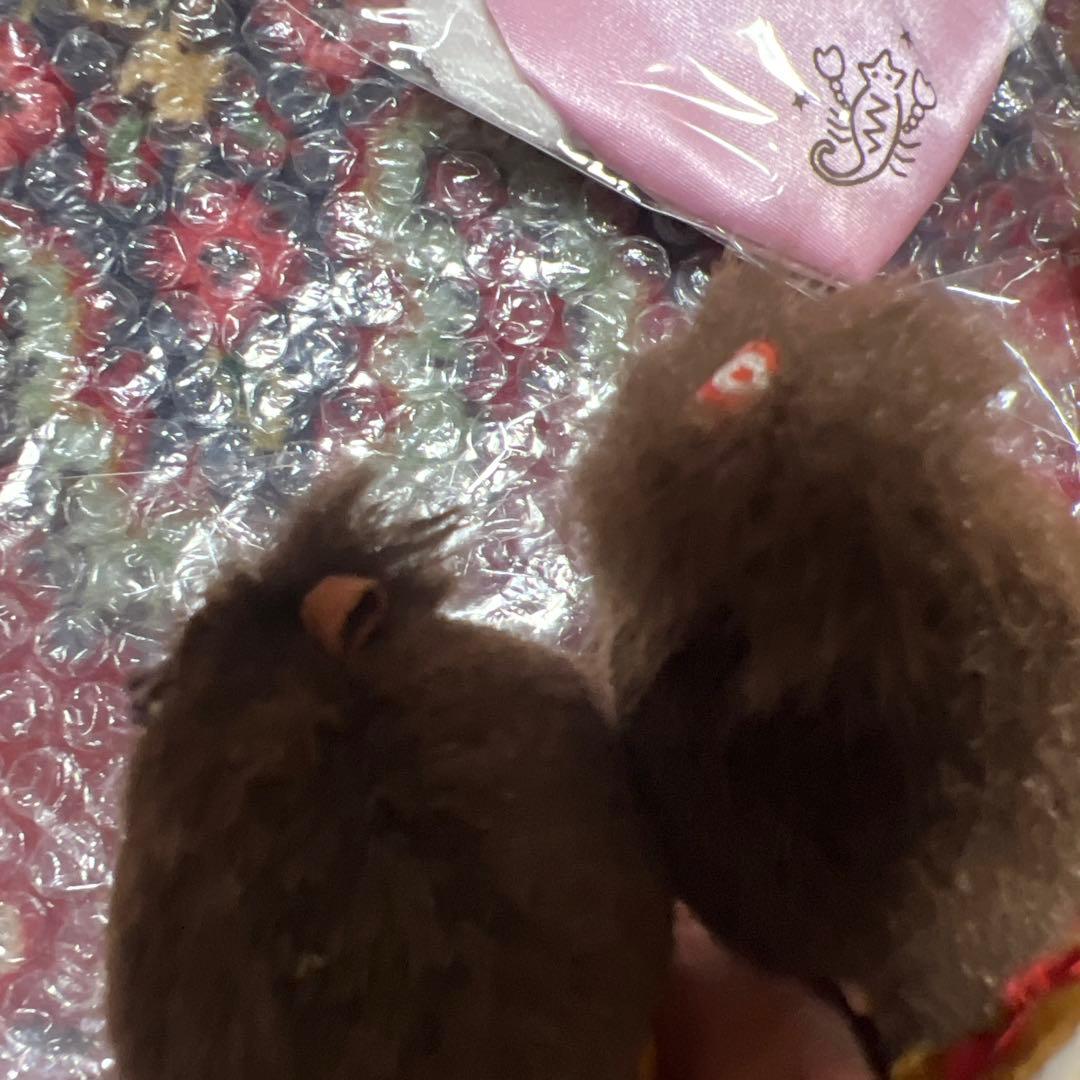 モンチッチ セット