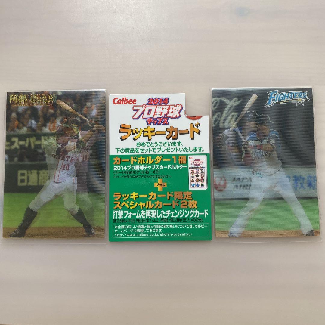 プロ野球チップスカード　2014 チェンジングカード