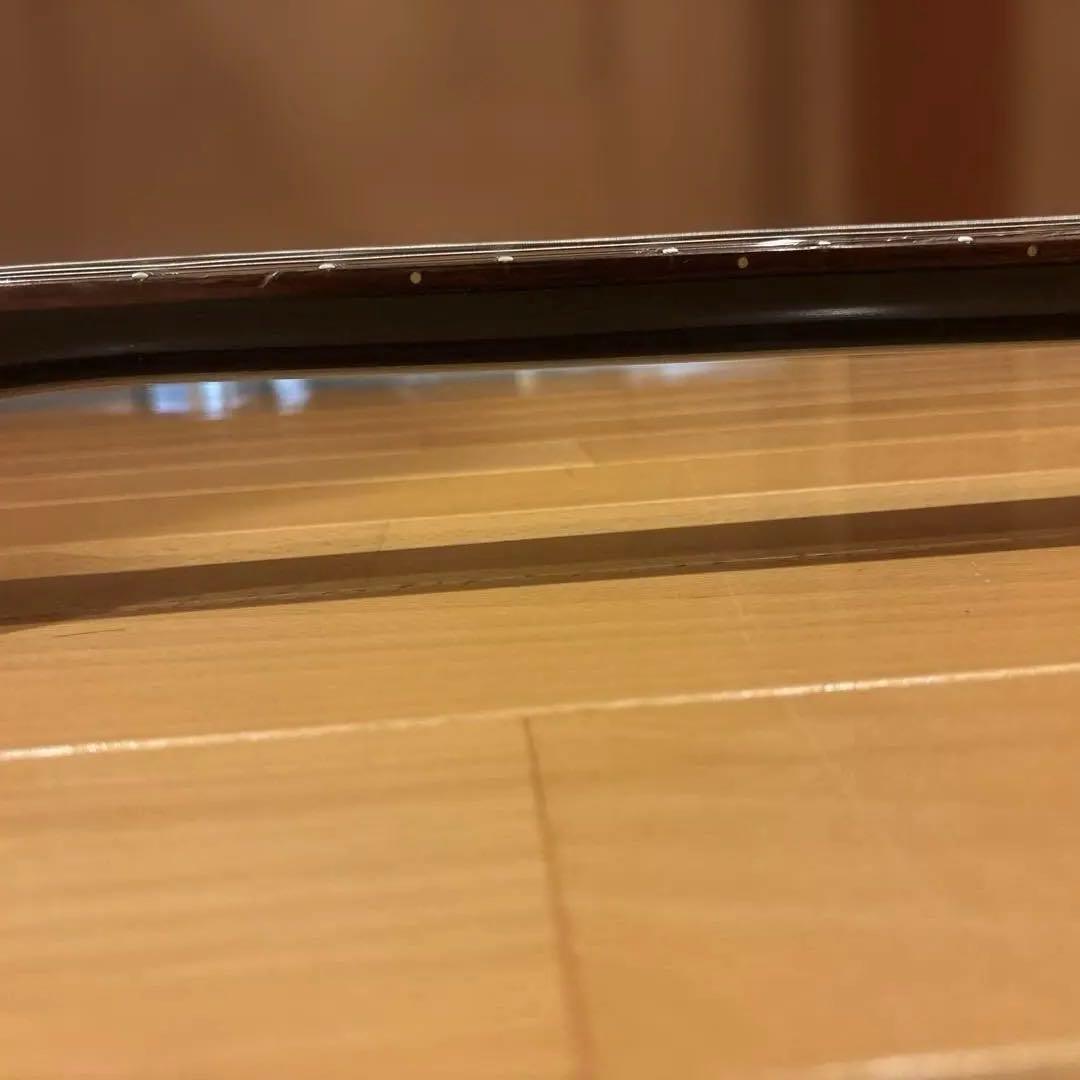 Aria Pro II Vanguard 353 トレモロアーム付 新品弦張替済