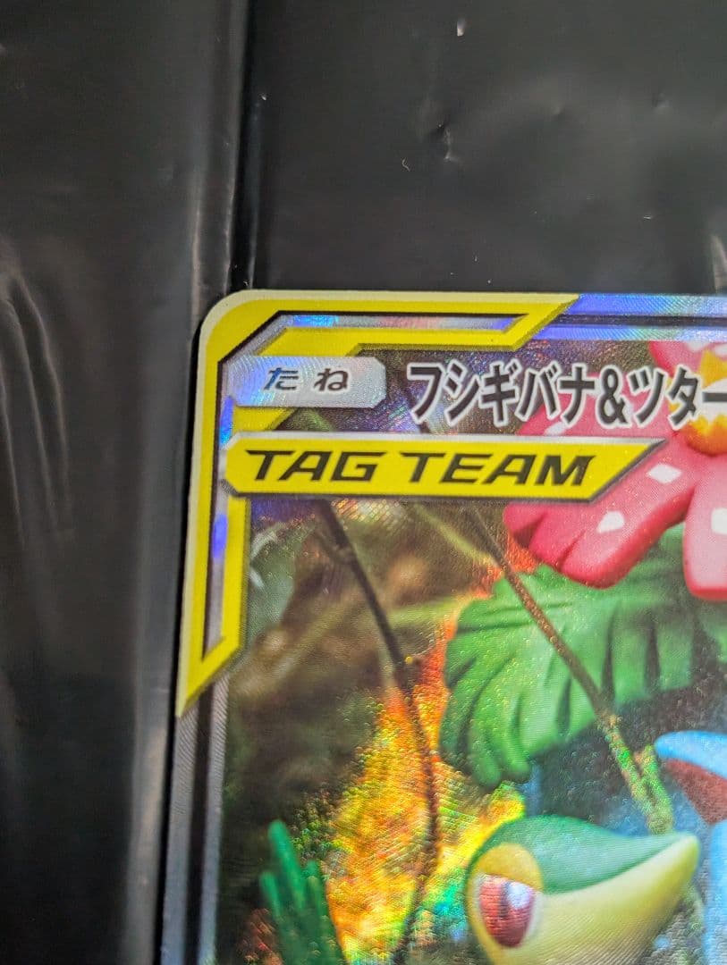 フシギバナ＆ツタージャGX(SA)【SR】{066/064}