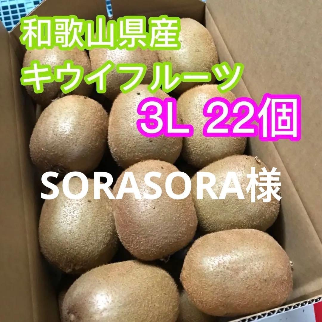 SORASORA【高級品】キウイ 5L 12個【二級品】キウイ3L 22個