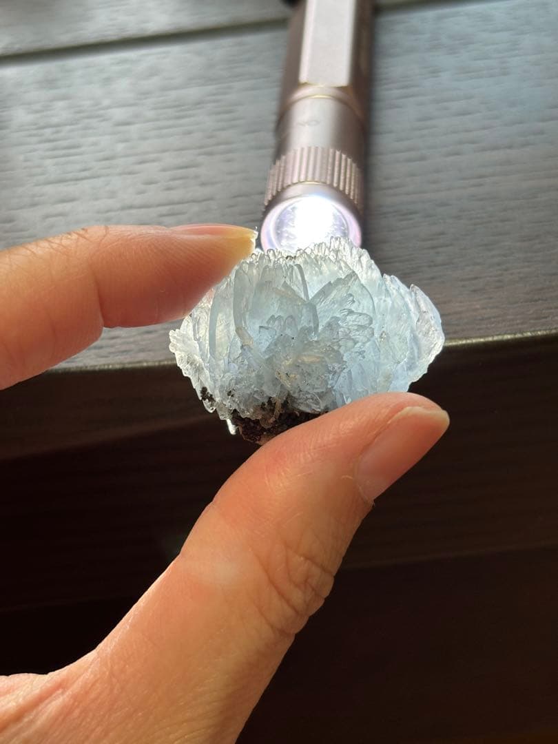 ブルーバライト