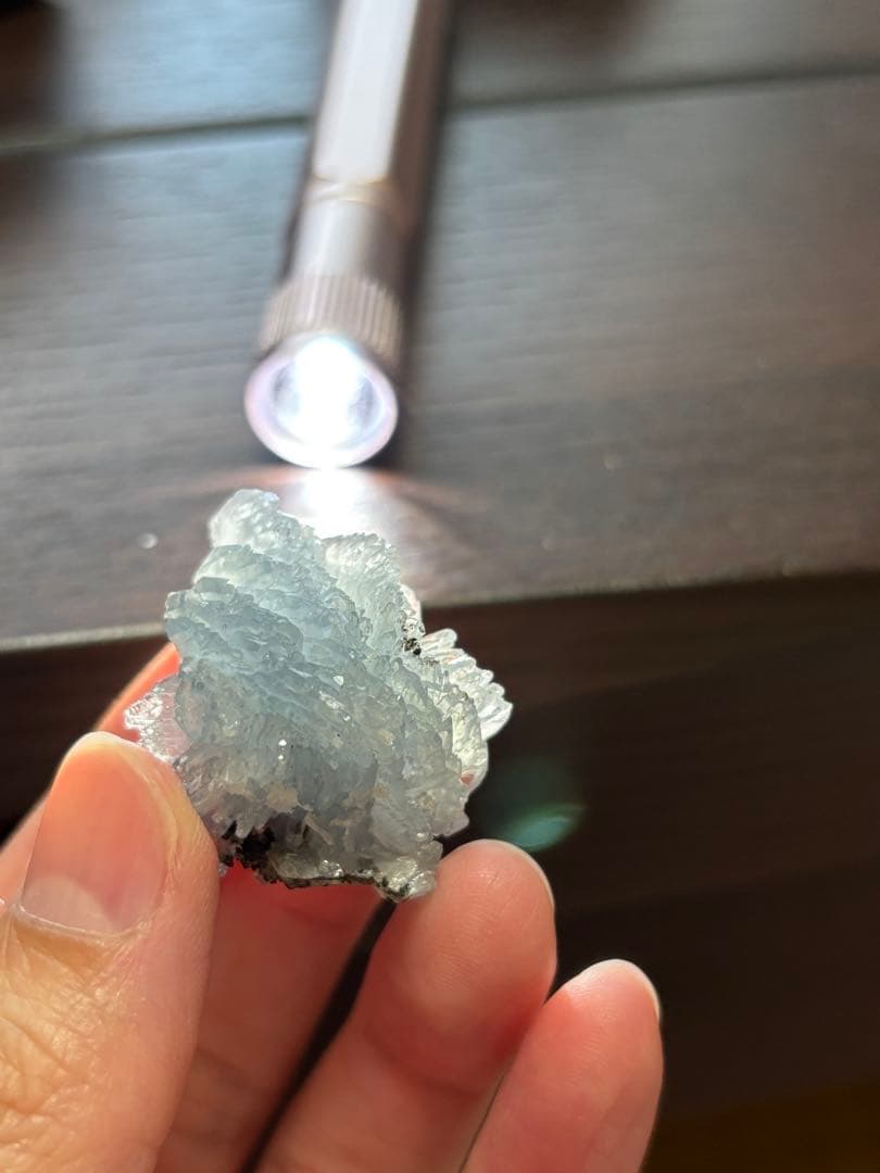 ブルーバライト