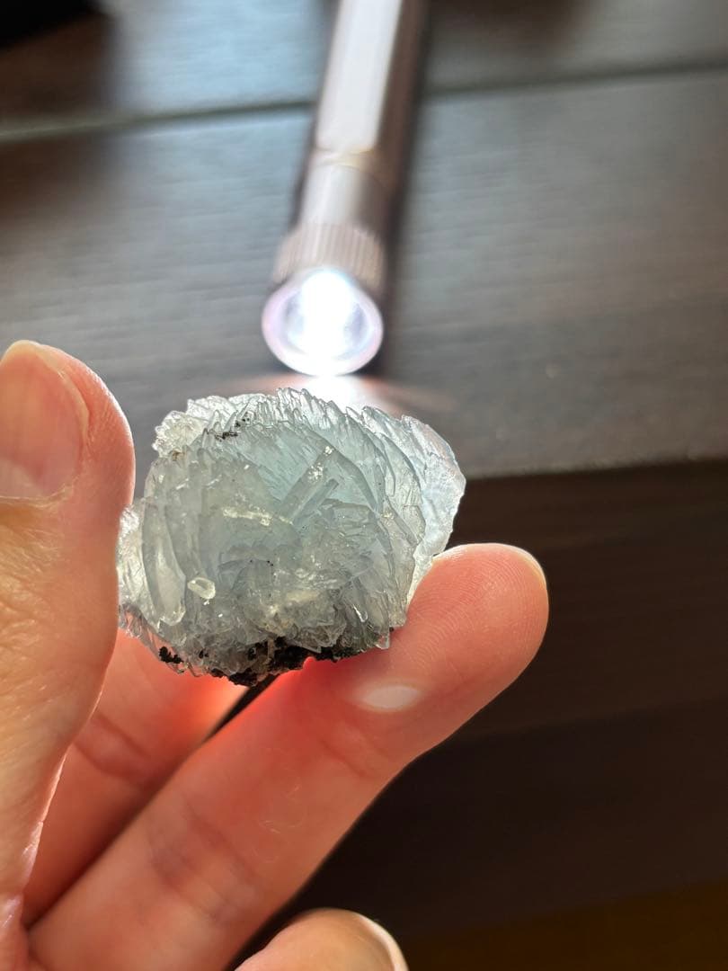 ブルーバライト