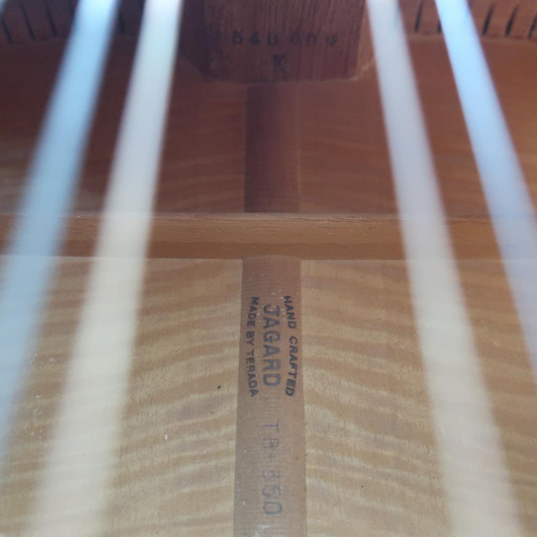 JAGARD TB-350 ギター ハミングバードDOVEタイプ ハードケース付