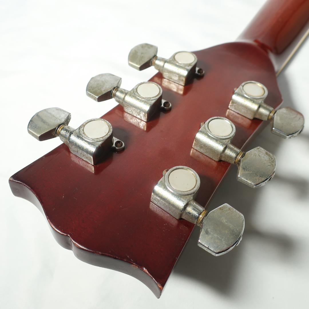 JAGARD TB-350 ギター ハミングバードDOVEタイプ ハードケース付