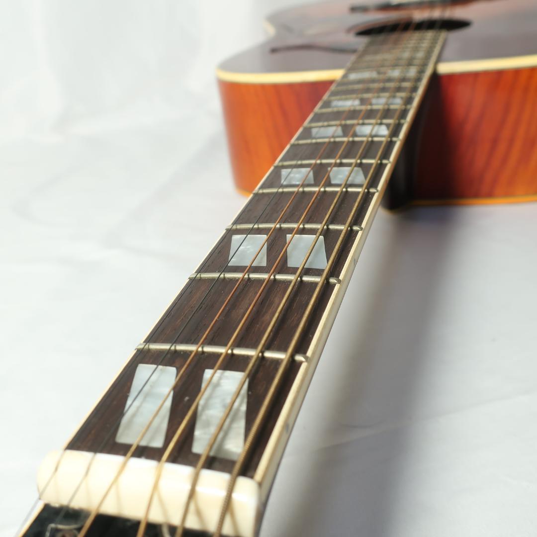 JAGARD TB-350 ギター ハミングバードDOVEタイプ ハードケース付