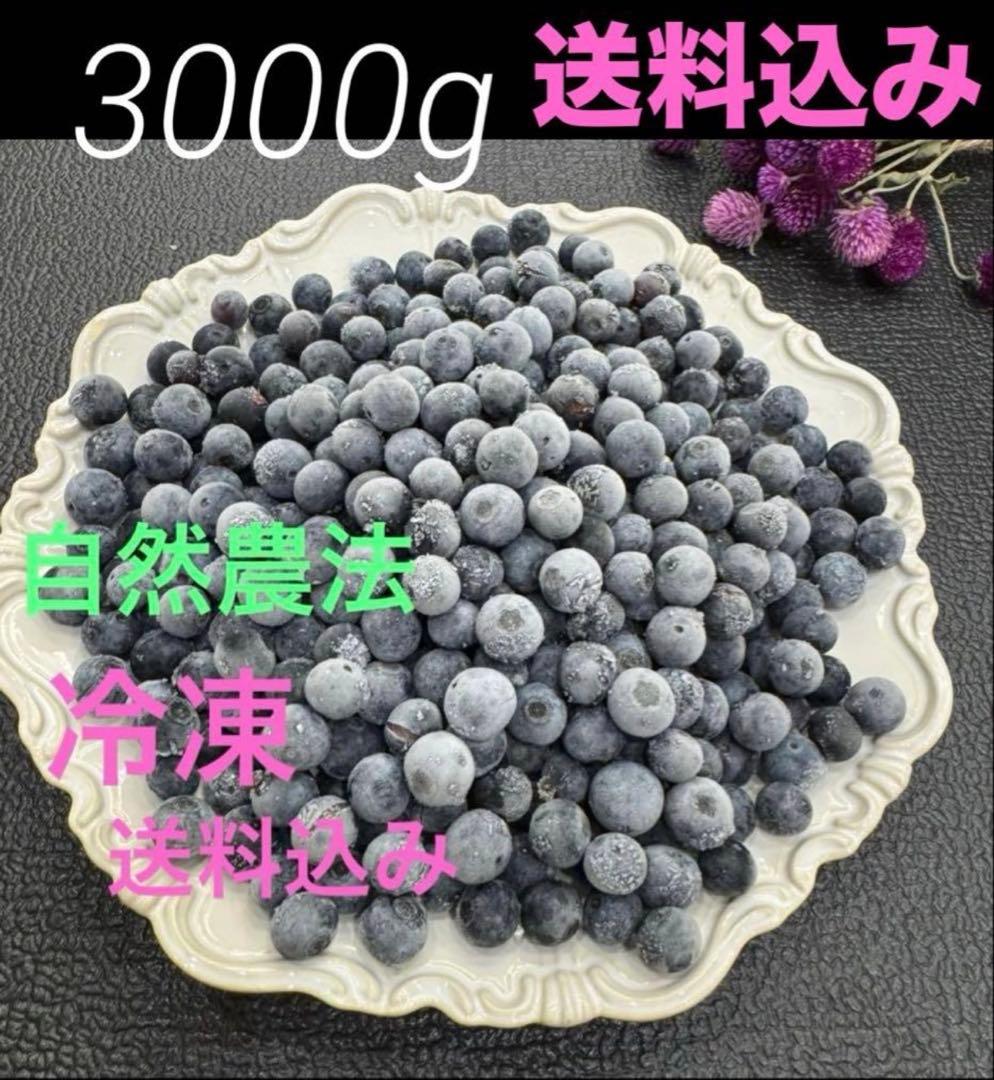 ハニー農園　冷凍ブルーベリー 3000g