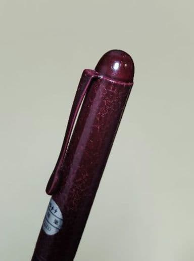 万年筆　プラチナ　中 細字