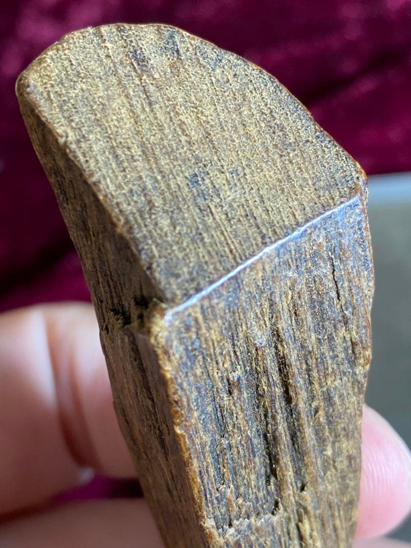 沈香 香木 富士岚 香老鋪 伽羅